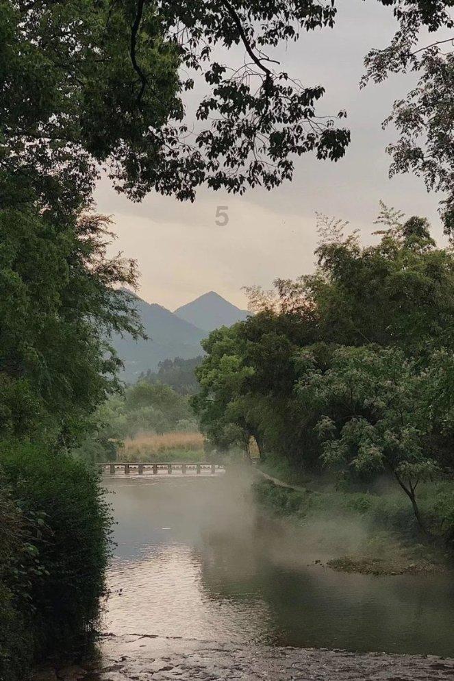 越过篱笆