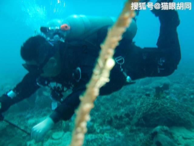 忻州农商行：策马扬鞭 加压奋进 全力迎战“首季开门红”