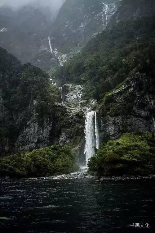 春雨直播app