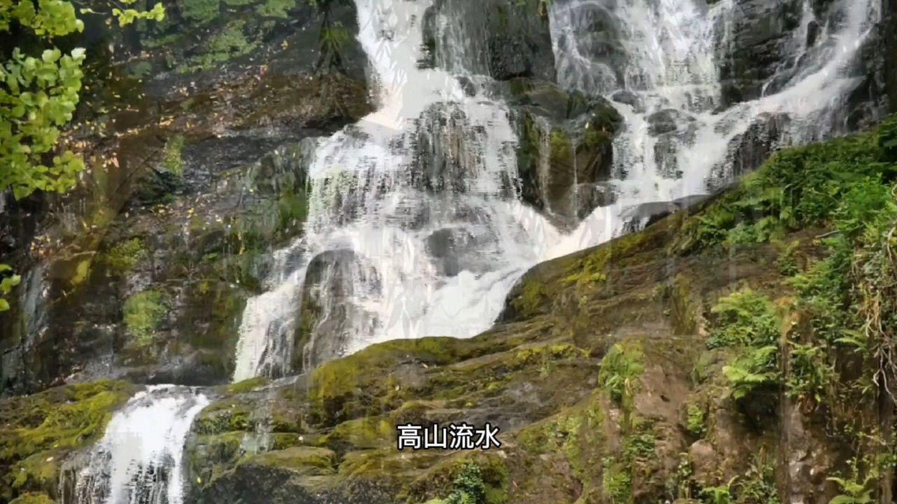 12厘米长的生蚝要蒸多长时间能熟？游戏画面