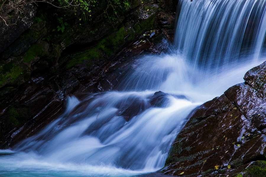 逃离粉红岛